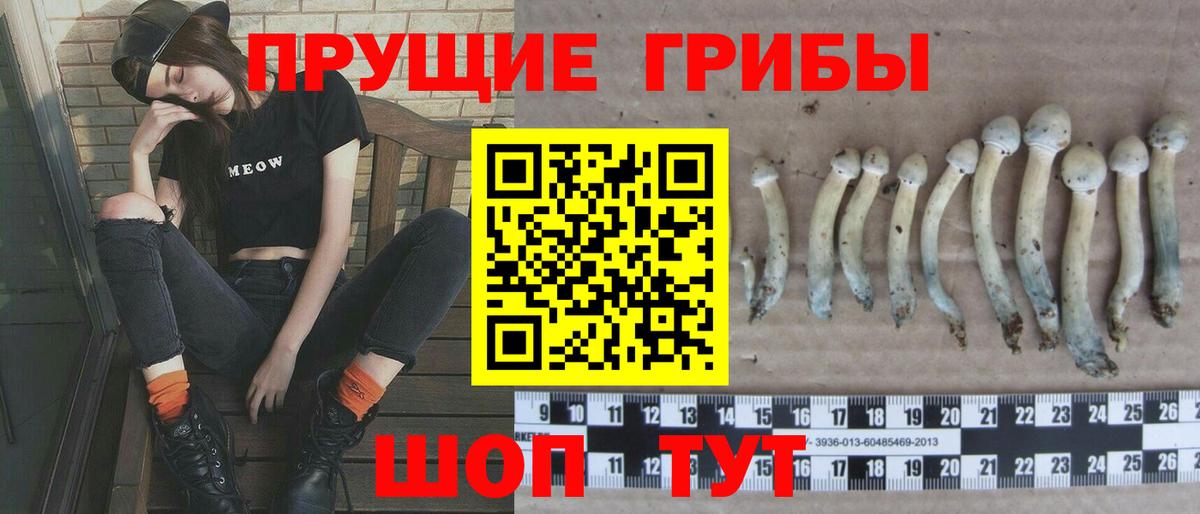 Псилоцибиновые грибы мицелий  Галлюциногенные грибы MAGIC MUSHROOMS  Богданович  Вход с VPN 