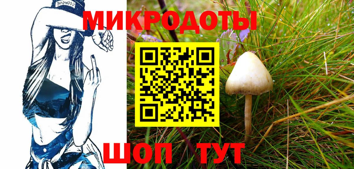 Псилоцибиновые грибы GOLDEN TEACHER Богданович